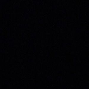 Meet your Posher, Natasha